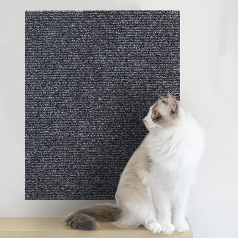 ScratchShield™ Cat Scratch Protector