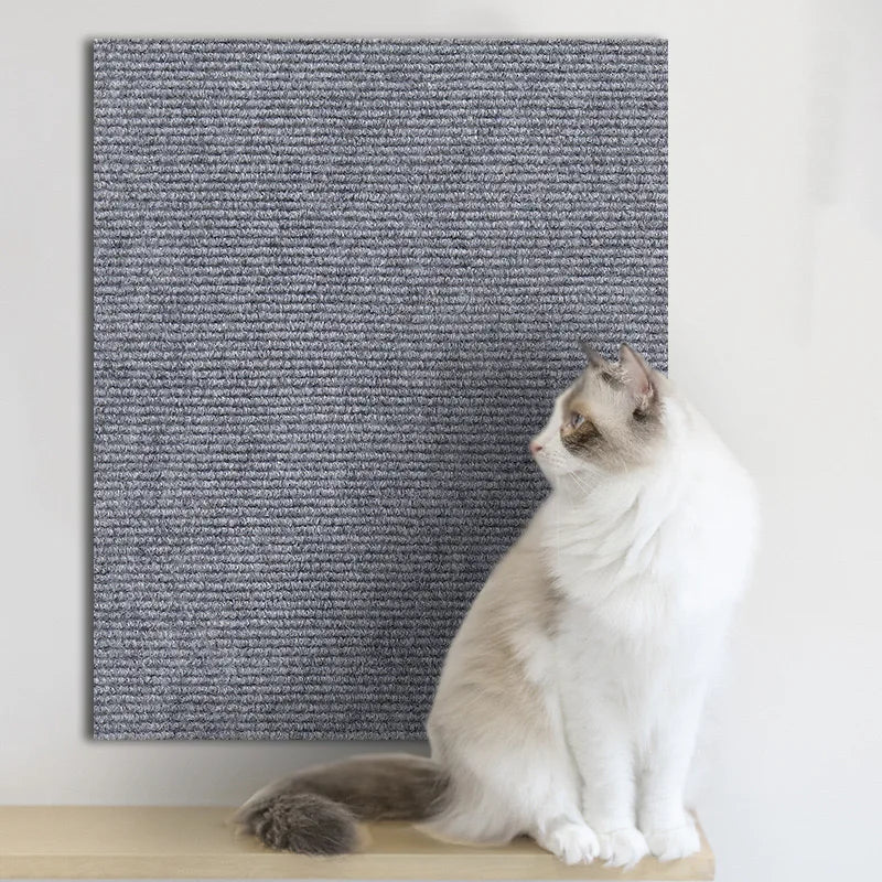 ScratchShield™ Cat Scratch Protector